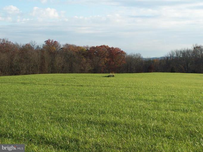 14417 Old Frederick Road Rocky Ridge, MD 21778 - Photo 15 of 27 Community Amenities 5