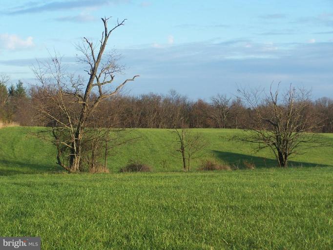 14417 Old Frederick Road Rocky Ridge, MD 21778 - Photo 3 of 27 Wooded View / Acreage