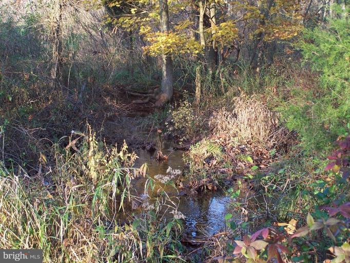 14417 Old Frederick Road Rocky Ridge, MD 21778 - Photo 23 of 27 Canal View 2