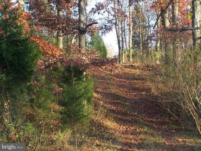 14417 Old Frederick Road Rocky Ridge, MD 21778 - Photo 25 of 27 Unique #1