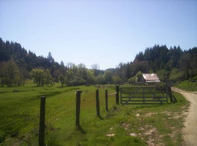 10665 Hearst Road Willits, CA 95490 - Photo 4 of 7 Gallery Image 4
