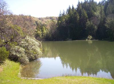 10665 Hearst Road Willits, CA 95490 - Photo 7 of 7 Gallery Image 7
