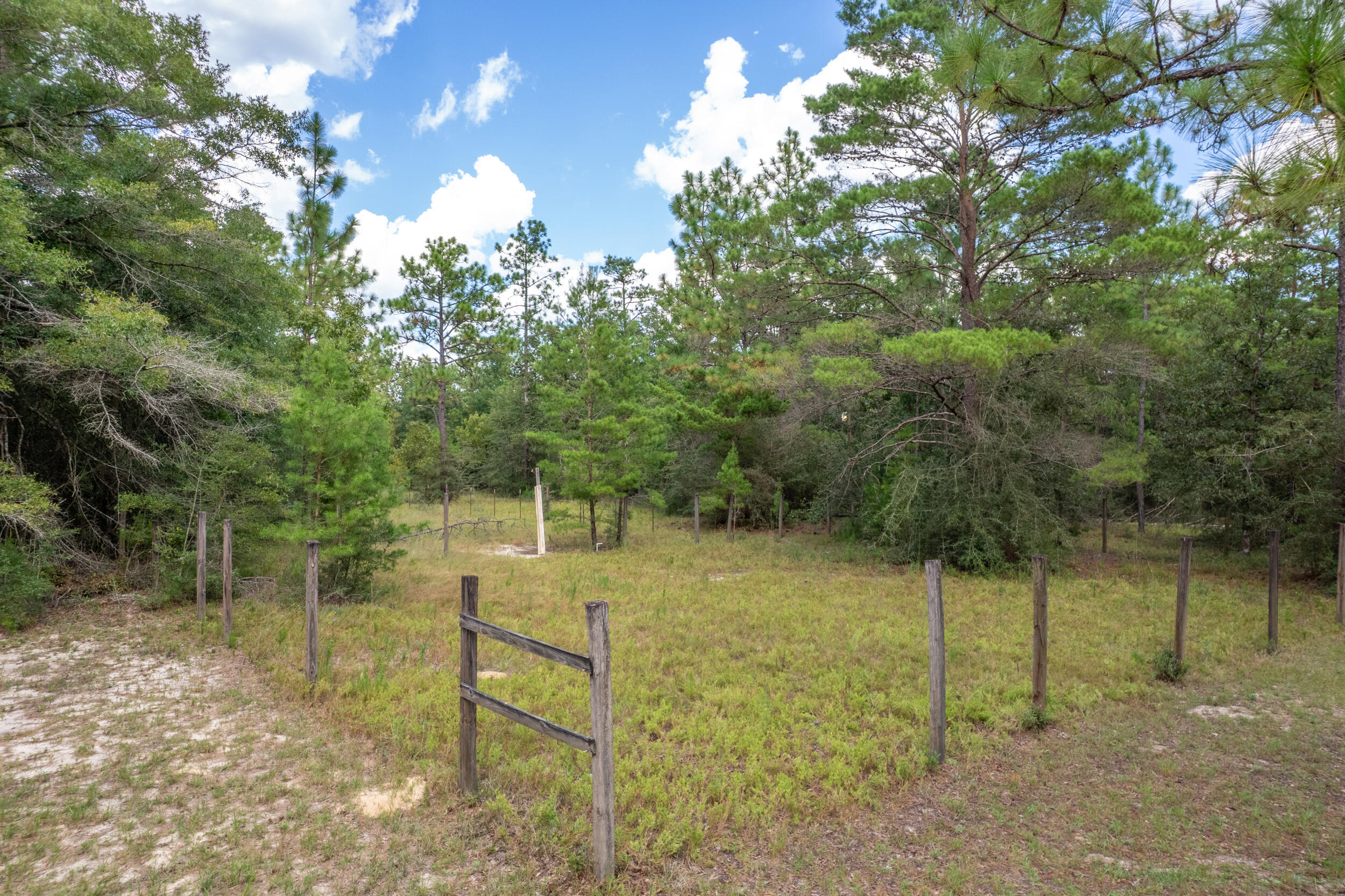 5378 Staghorn Road Crestview, FL 32539 - Photo 119 of 130 a backyard of a house with lots of green space