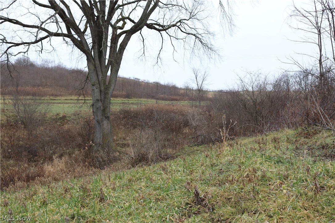 4700 Fostor Road Dresden, OH 43821 - Photo 23 of 30 Gallery Image 23