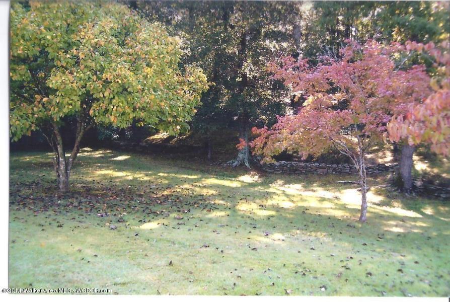 1005 South Walston Bridge Road Jasper, AL 35501 - Photo 25 of 26 Gallery Image 25