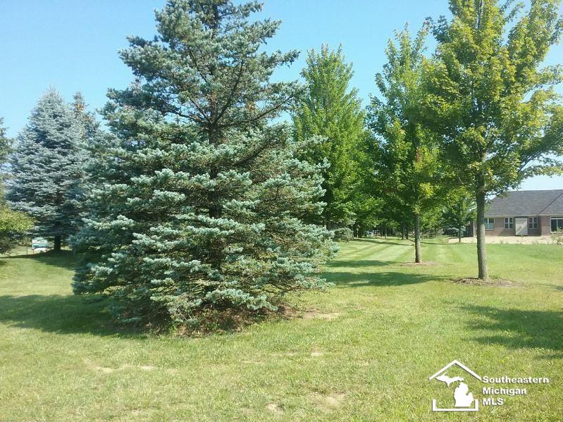 North Custer Road Monroe, MI 48162 - Photo 6 of 11 Gallery Image 6
