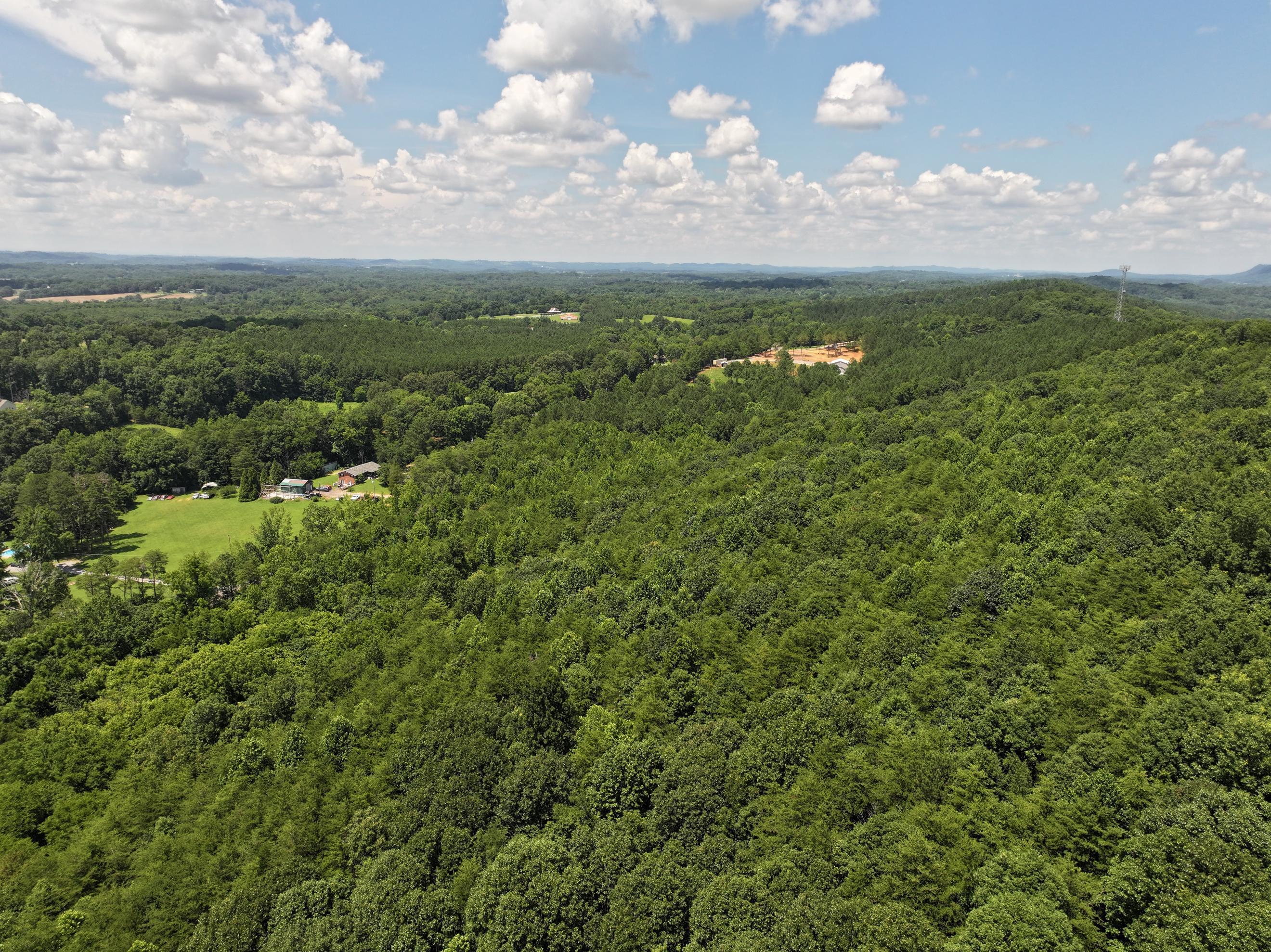 0 County Road, Unit 609 Etowah, TN 37331 - Photo 3 of 6 DJI_20250629004839_0007_D_1468