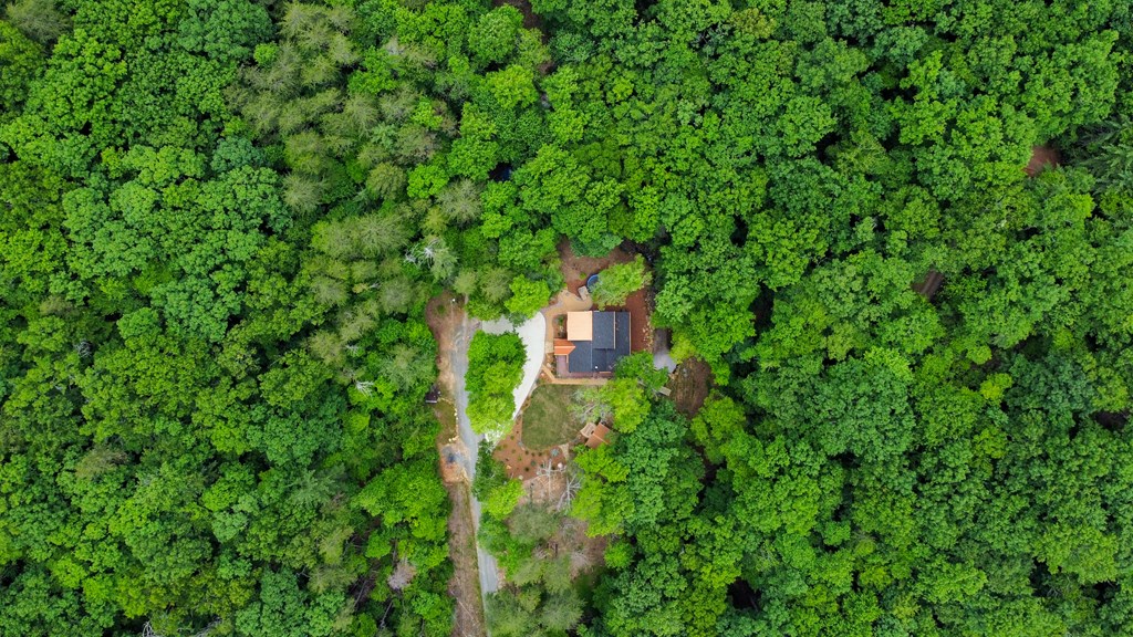 17 Emmaus Walk Blue Ridge, GA 30513 - Photo 41 of 59 a view of a lush green forest