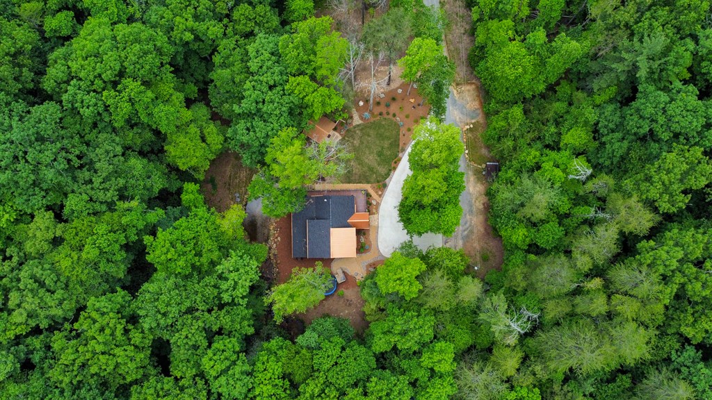 17 Emmaus Walk Blue Ridge, GA 30513 - Photo 43 of 59 an aerial view of a house with yard
