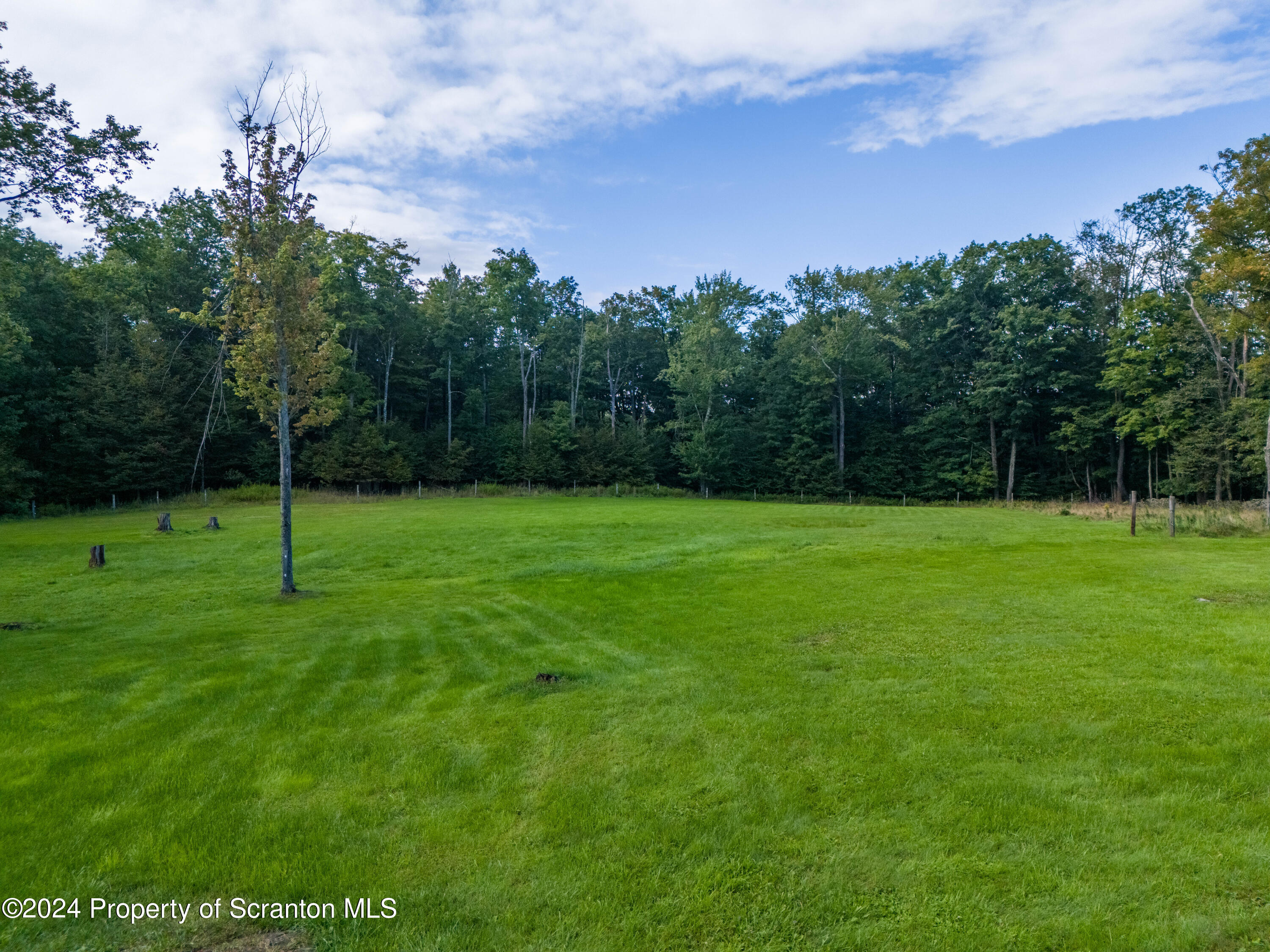 6509 State Rte 2012 Union Dale, PA 18470 - Photo 16 of 91 a view of a park with a tree in the background