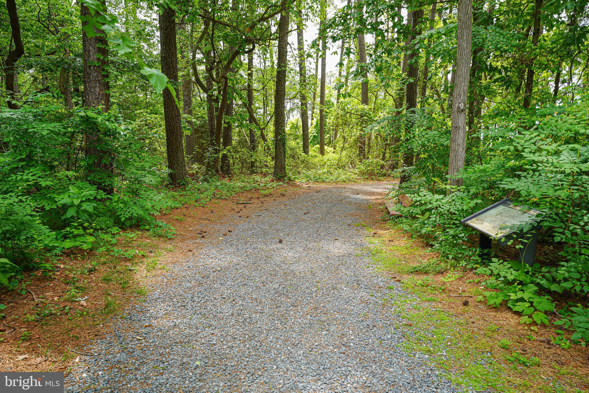 20240 Nanticoke Road Nanticoke, MD 21840 - Photo 48 of 66