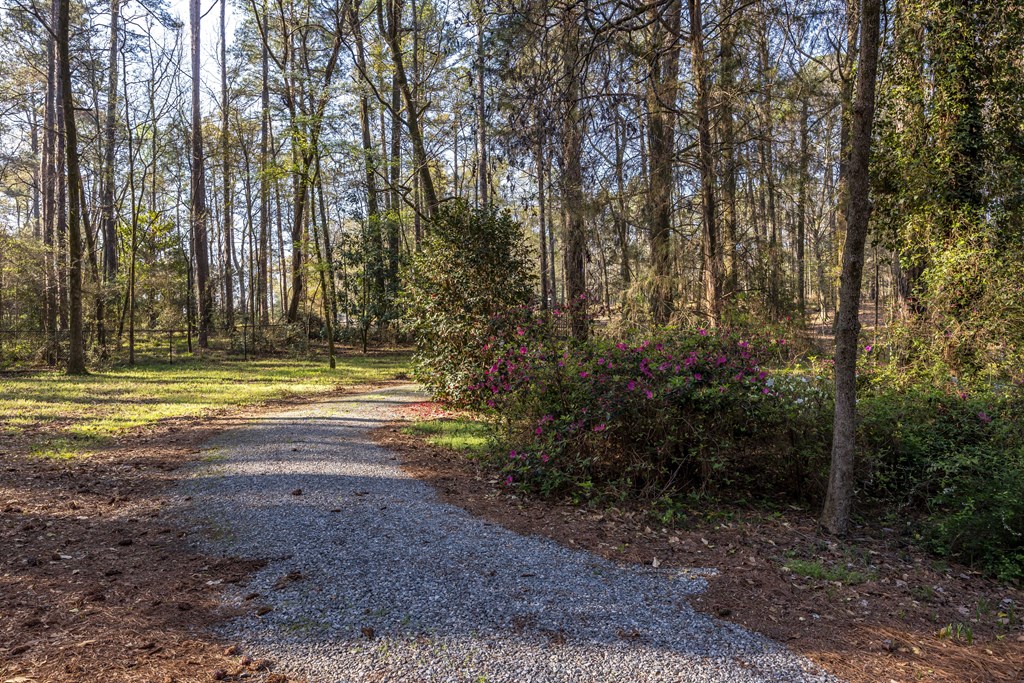 8535 Jackson Road Midland, GA 31820 - Photo 42 of 69 Private drive