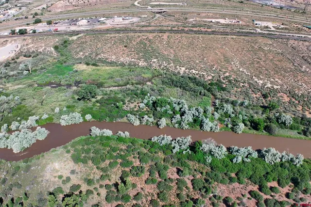 a view of yard with green space
