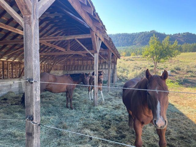 2620 Cedonia-Addy Road Addy, WA 99101 - Photo 15 of 38