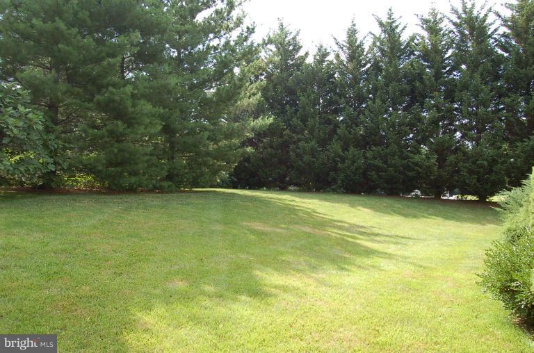 4605 Newington Road Jefferson, MD 21755 - Photo 6 of 20 Back Yard