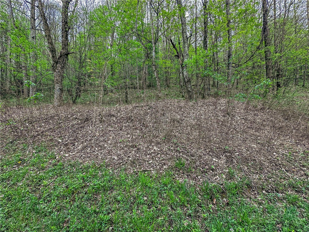 Silverleaf Road Zionville, NC 28698 - Photo 20 of 25