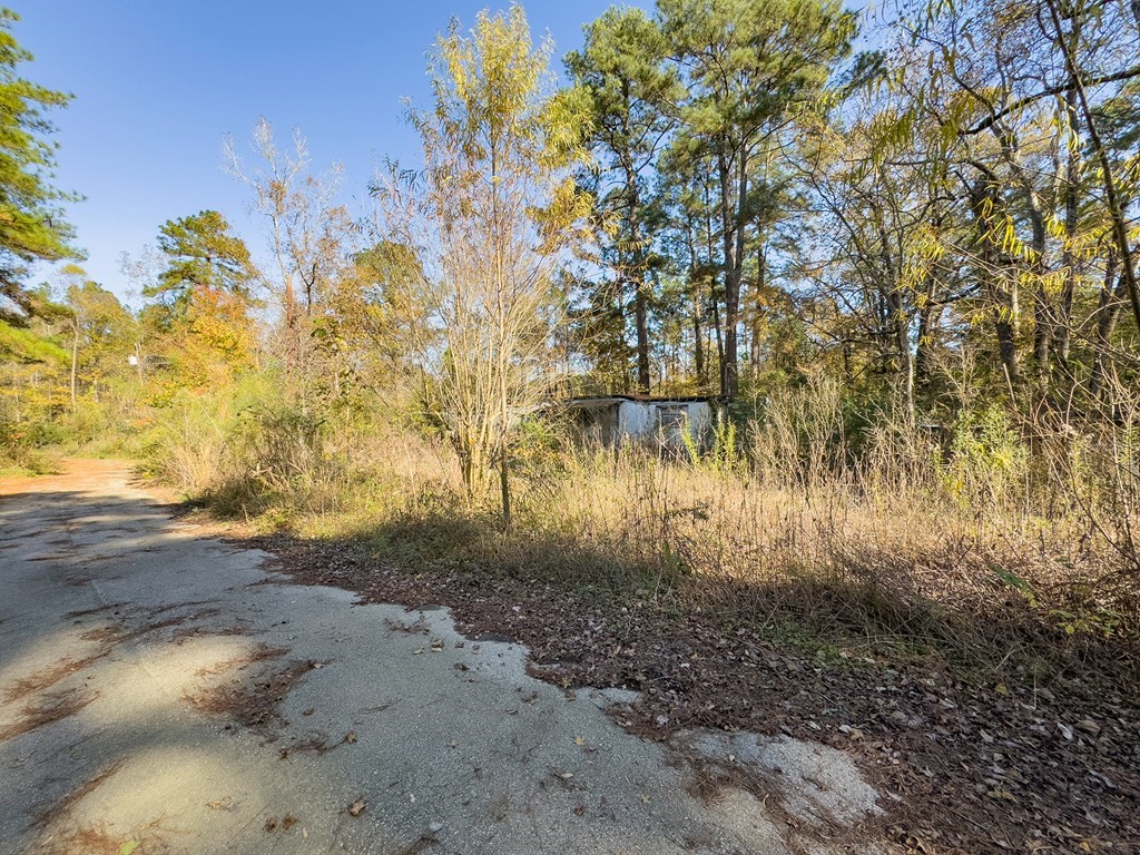 R81455 West Walnut Street Huntington, TX 75949 - Photo 4 of 6 a view of backyard with green space