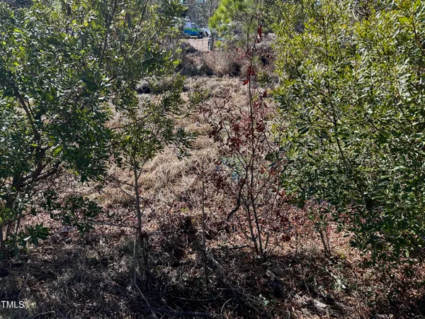 a view of a house with a tree