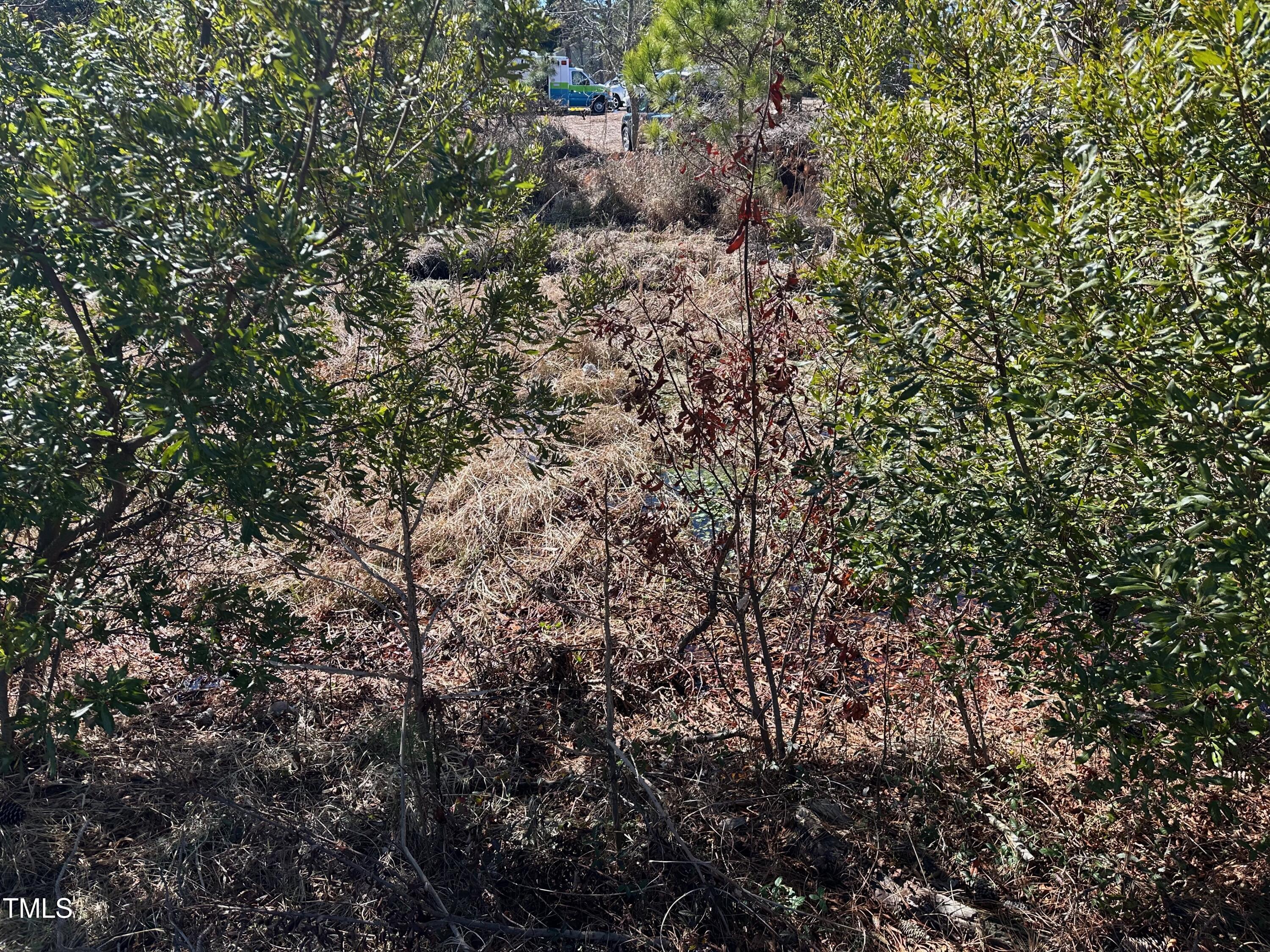 2101 Colington Road Kill Devil Hills, NC 27948 - Photo 8 of 11 a view of a house with a tree