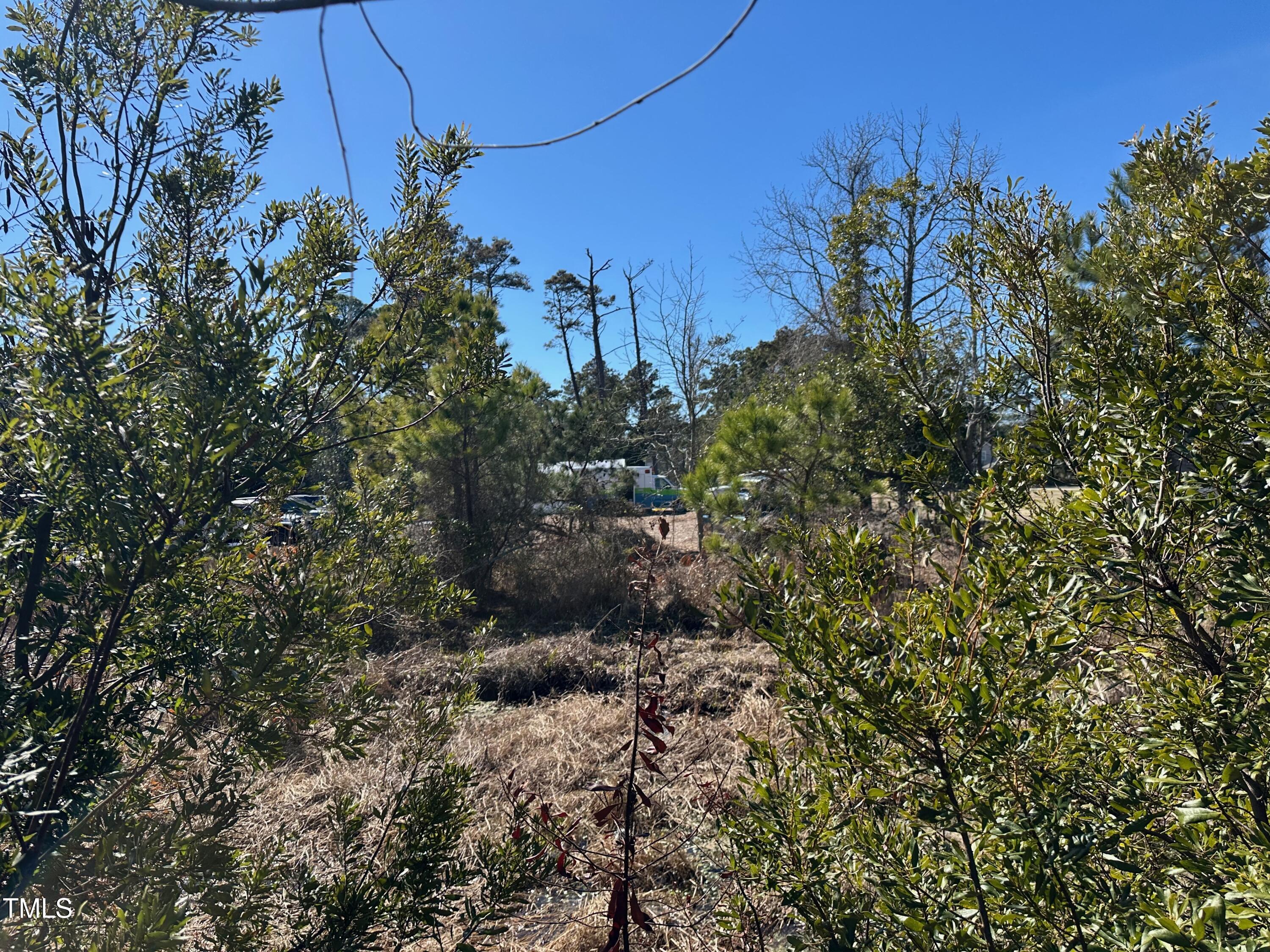 2101 Colington Road Kill Devil Hills, NC 27948 - Photo 9 of 11 a view of a yard with plants and large trees
