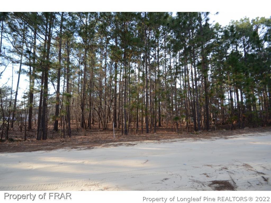 Swift Creek Road Raeford, NC 28376 - Photo 2 of 4 Gallery Image 2
