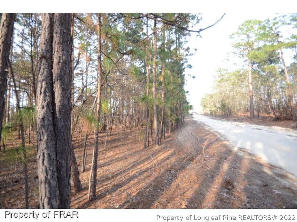Swift Creek Road Raeford, NC 28376 - Photo 3 of 4 Gallery Image 3