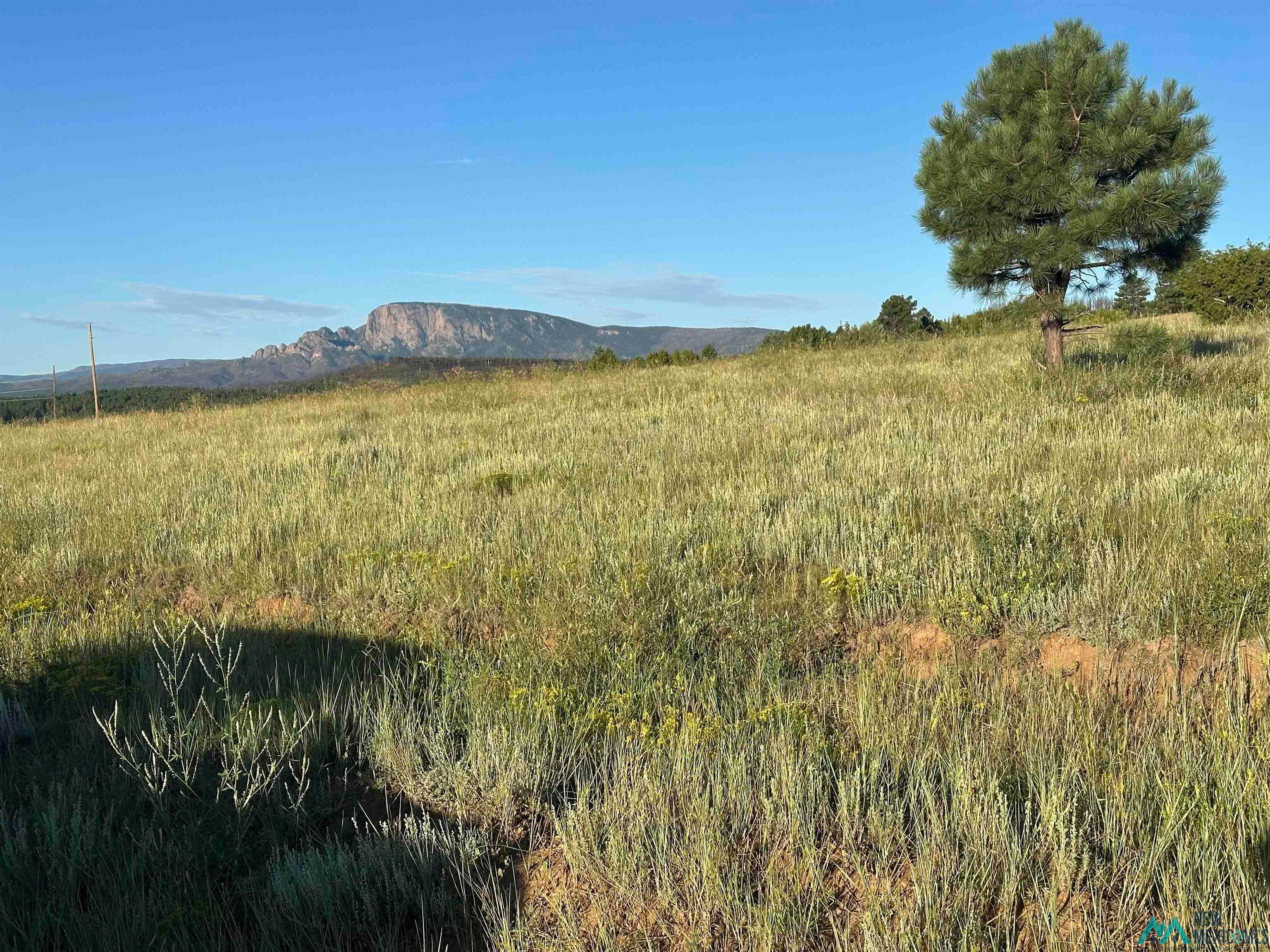 434 Highway 94 Rociada, NM 87742 - Photo 2 of 16
