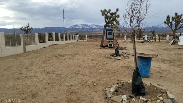 a view of a town with big tree