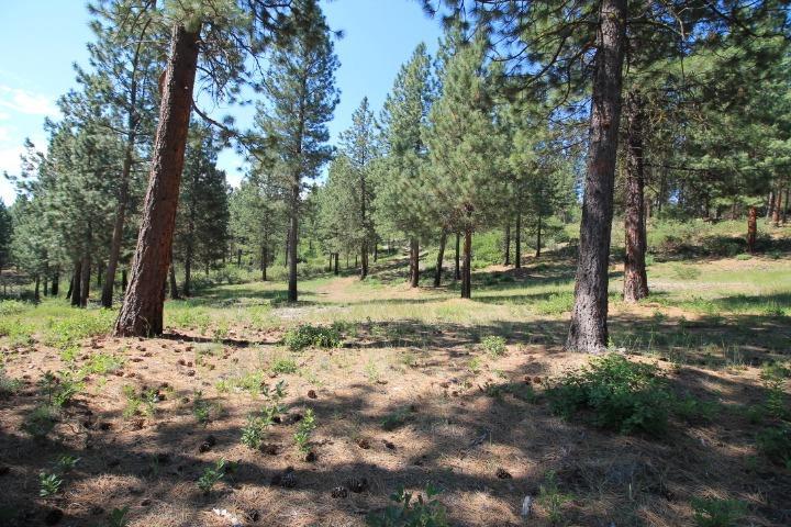 0 Spring Trail Court Chiloquin, OR 97624 - Photo 23 of 27 Additional Photo