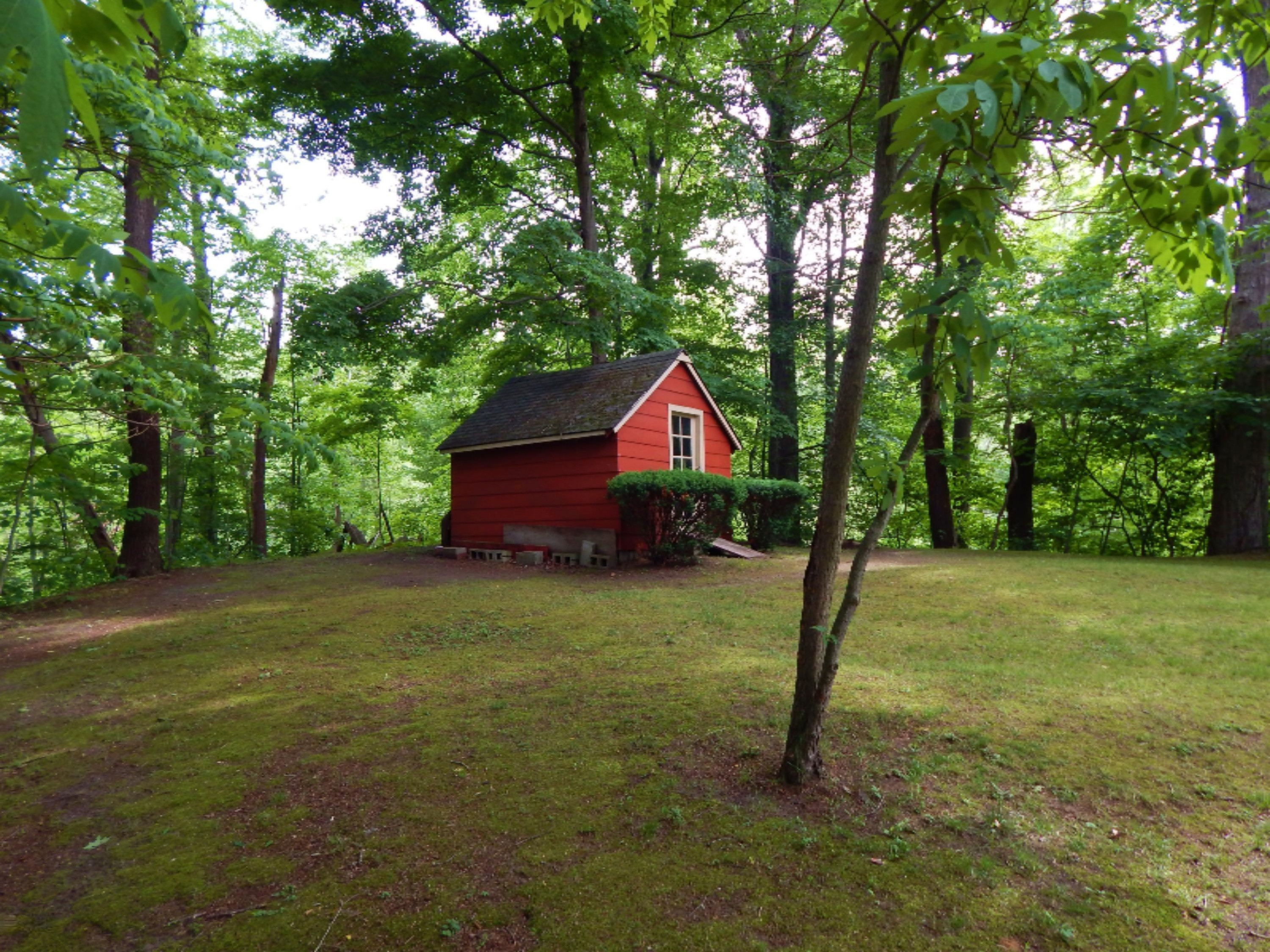 8550 Elm Valley Road Three Oaks, MI 49128 - Photo 47 of 50 DSCN3264