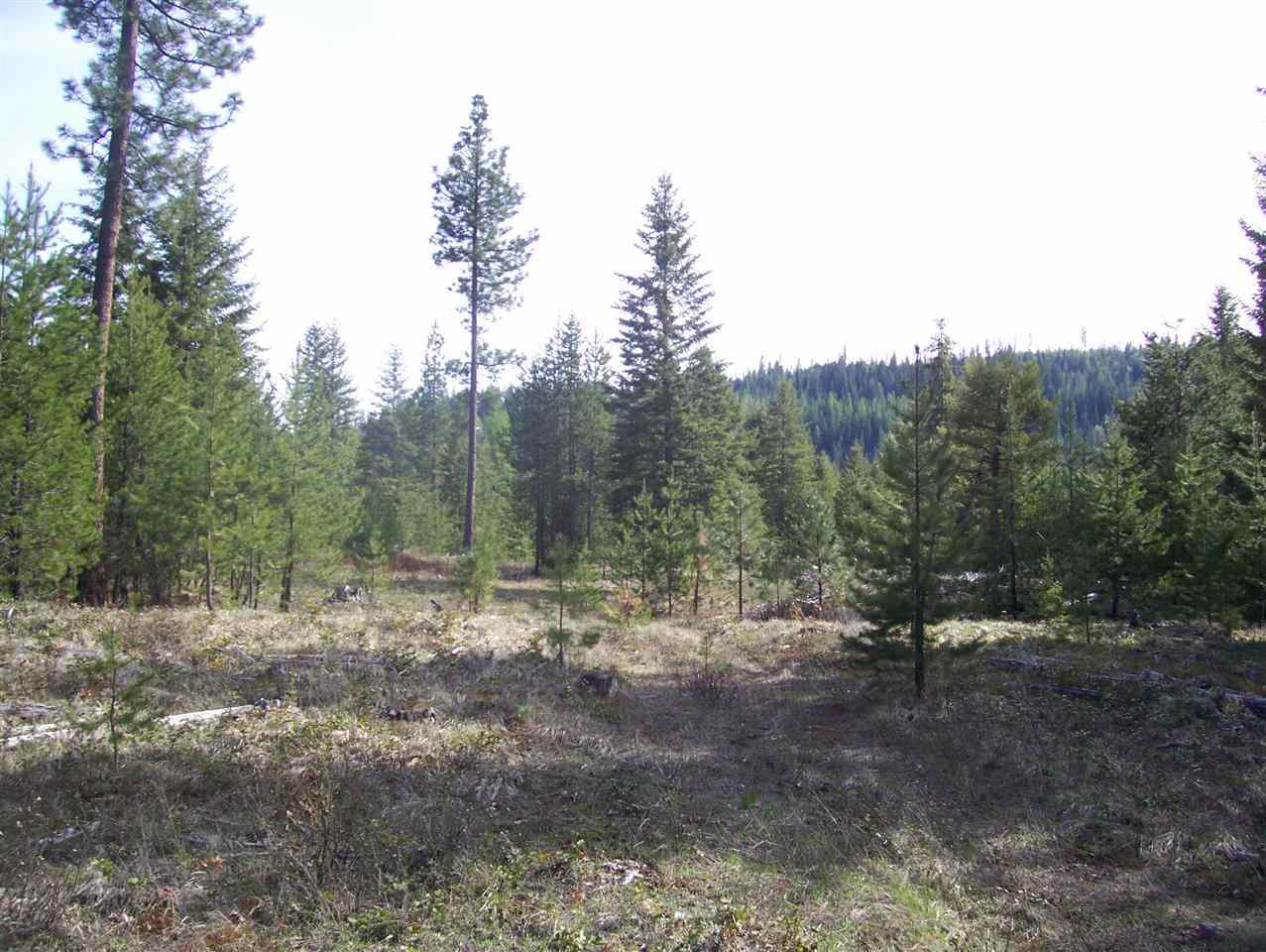 0 Roberts Road Newport, WA 99156 - Photo 1 of 12