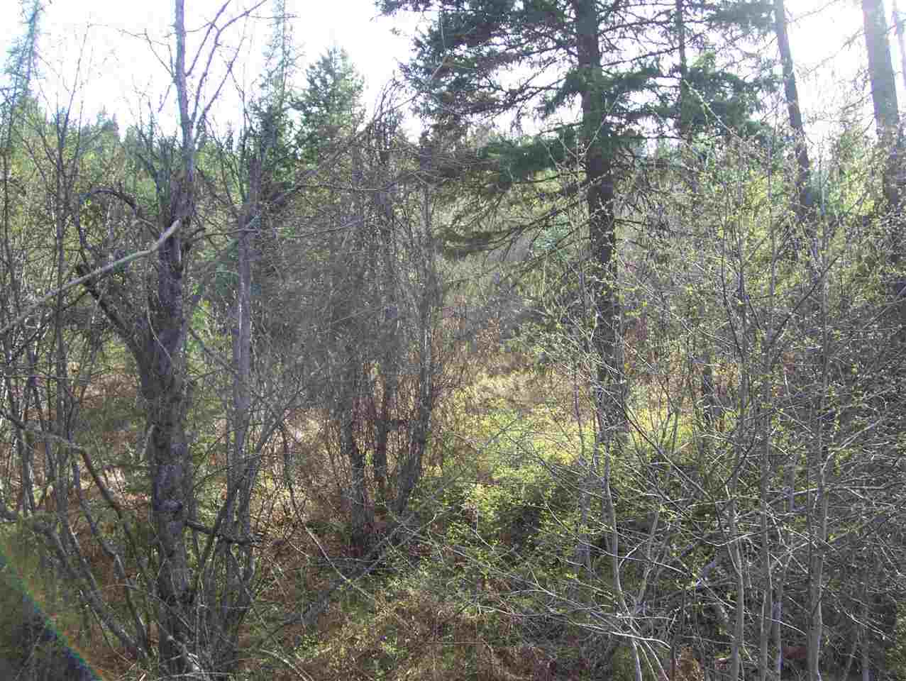 0 Roberts Road Newport, WA 99156 - Photo 11 of 12