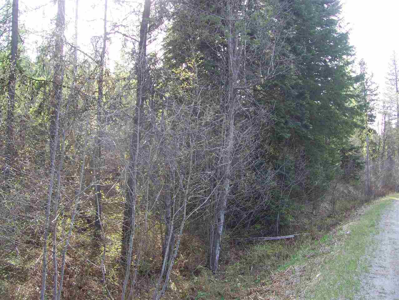 0 Roberts Road Newport, WA 99156 - Photo 12 of 12
