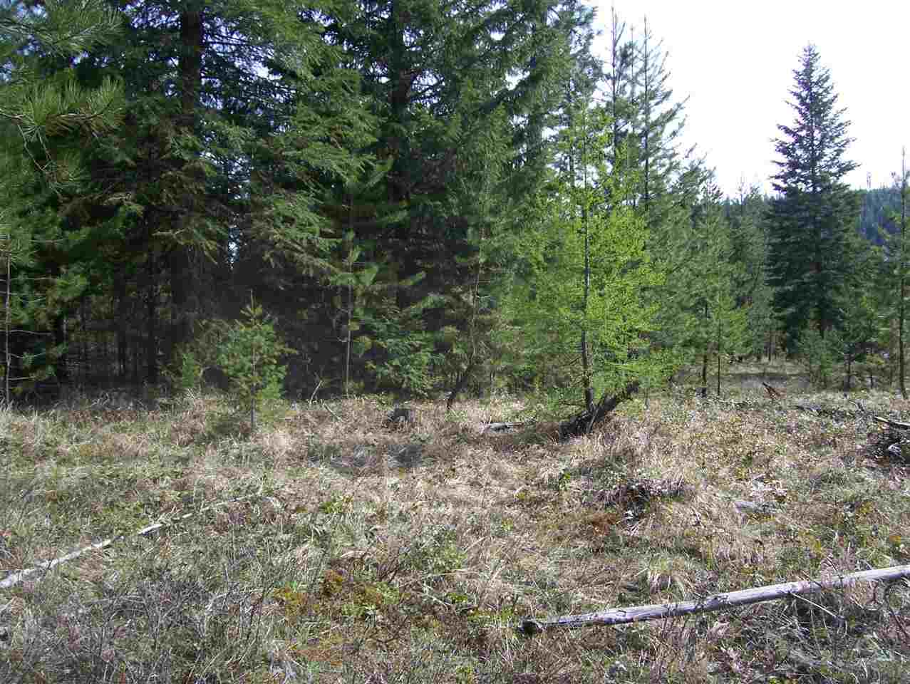 0 Roberts Road Newport, WA 99156 - Photo 5 of 12