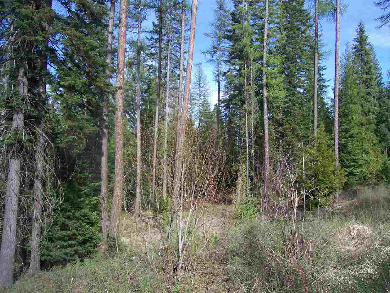 0 Roberts Road Newport, WA 99156 - Photo 7 of 12