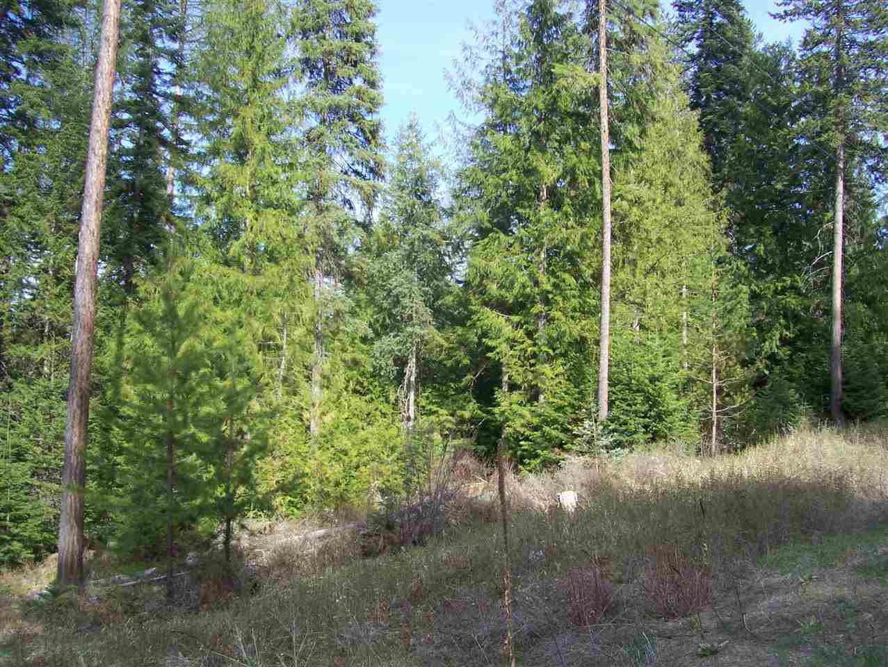 0 Roberts Road Newport, WA 99156 - Photo 9 of 12