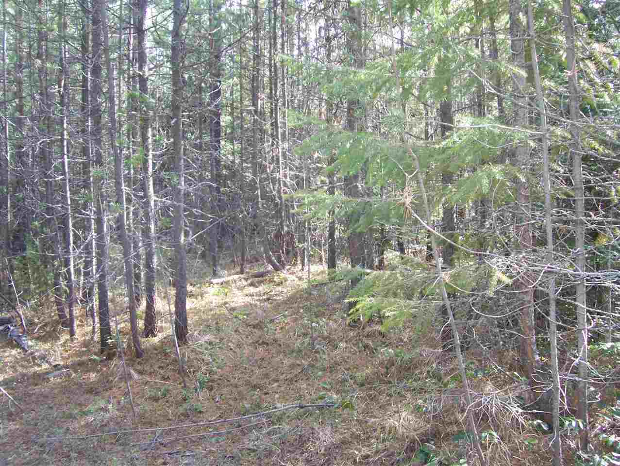 0 Roberts Road Newport, WA 99156 - Photo 10 of 12