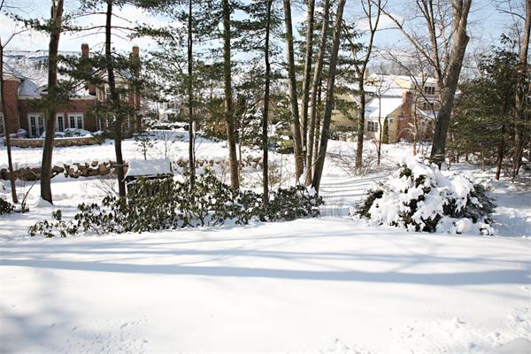 34 Wachusett Road Wellesley, MA 02481 - Photo 4 of 4