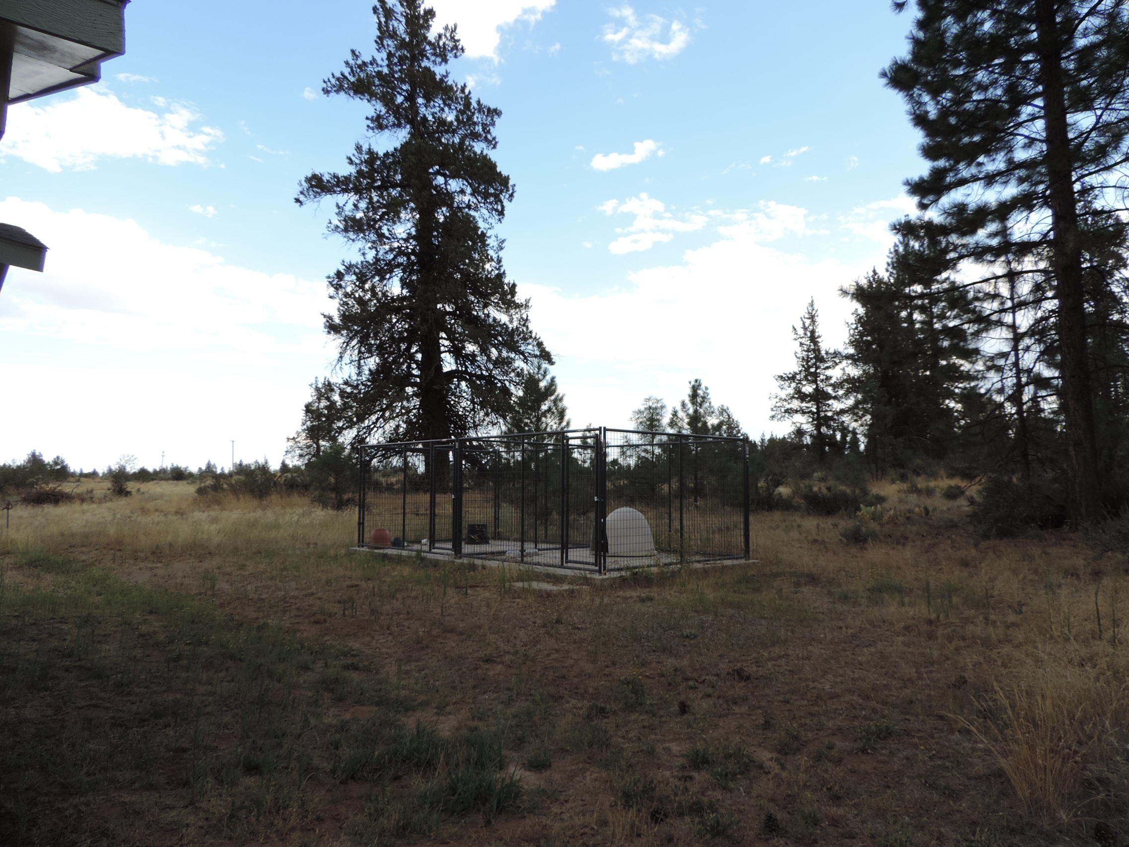 4800 Co Road Adin, CA 96006 - Photo 5 of 27 a view of outdoor space with green field and trees