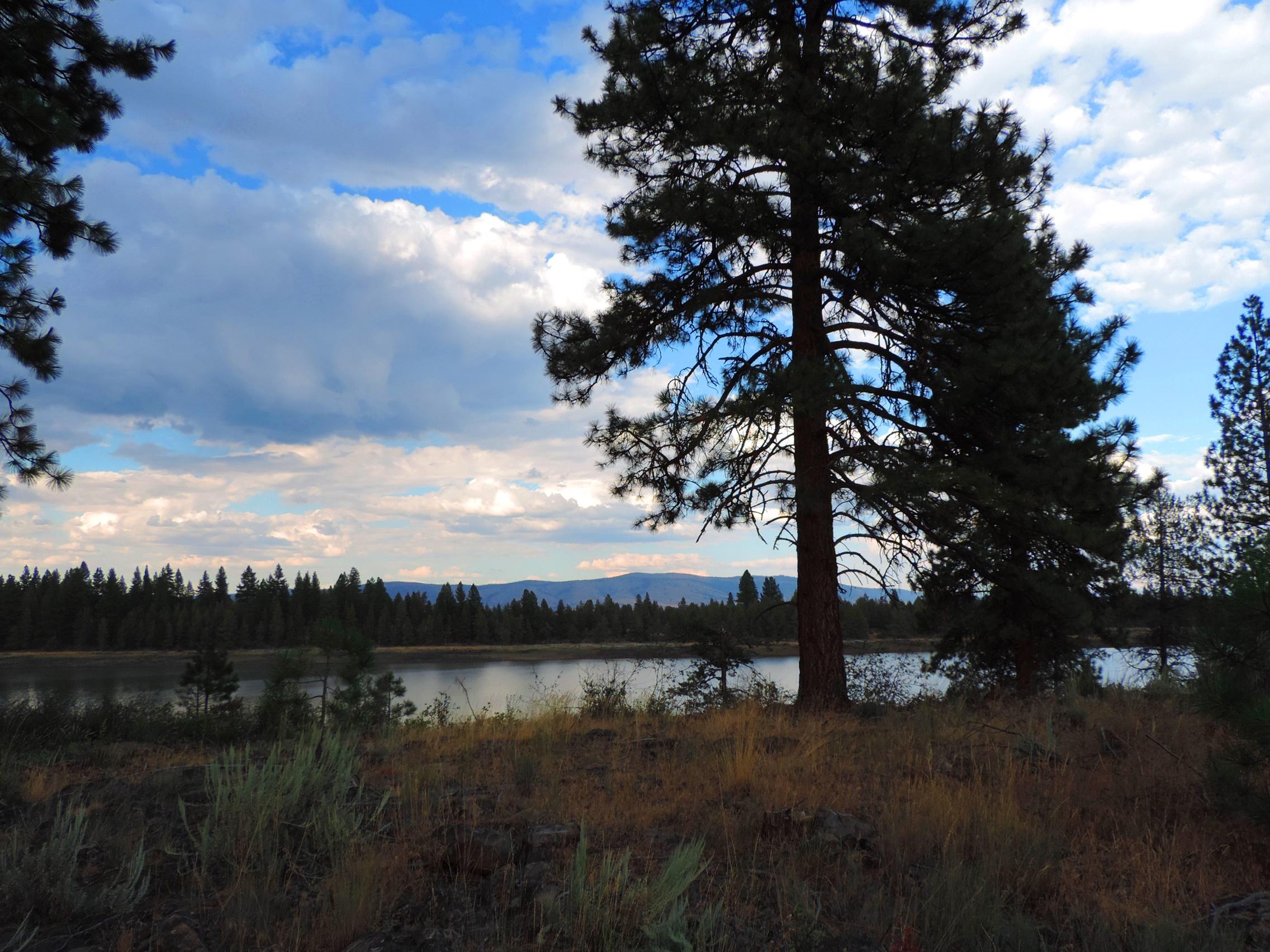4800 Co Road Adin, CA 96006 - Photo 10 of 27 a view of lake