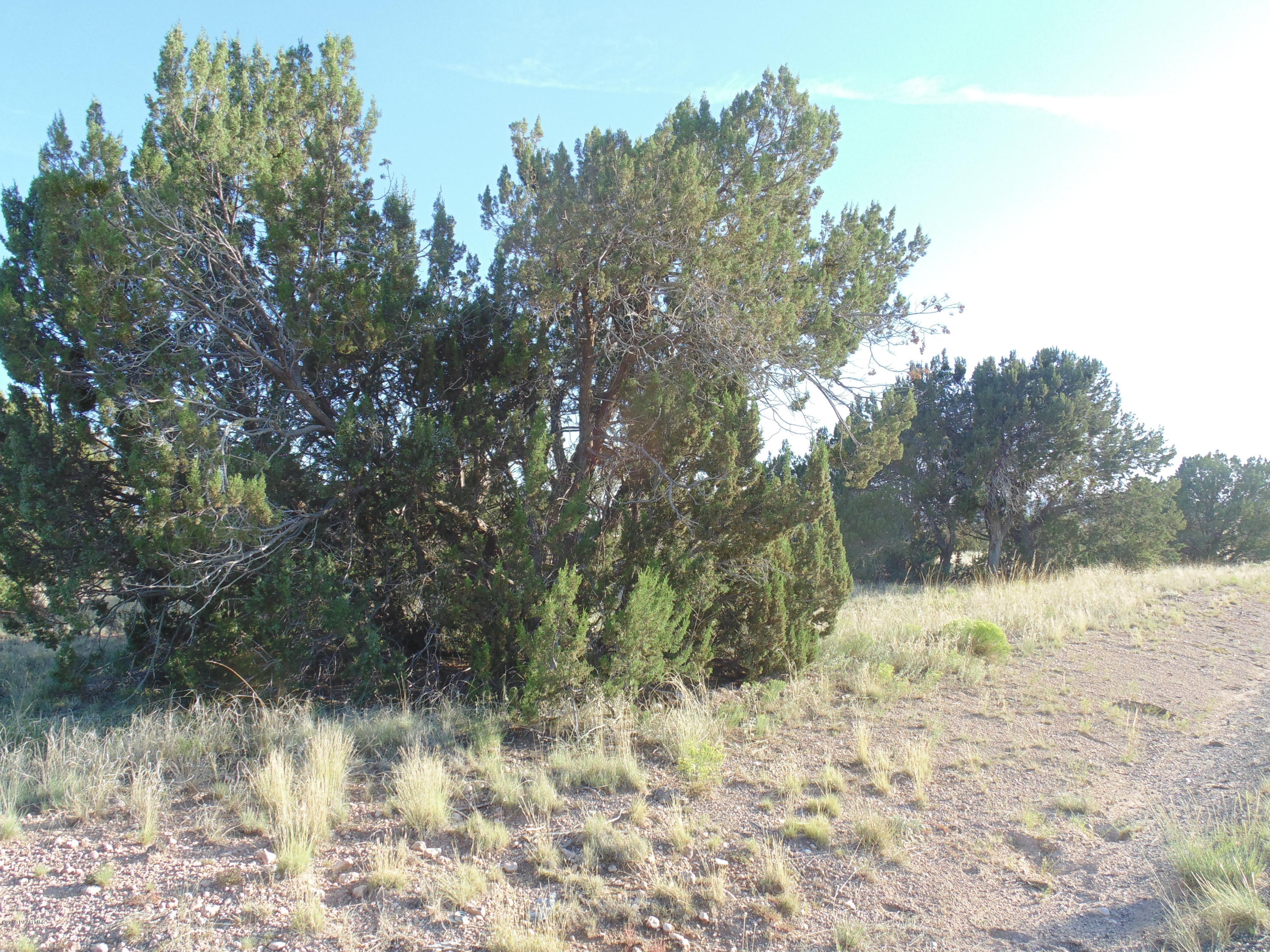 27525 Fort Rock Road Seligman, AZ 86337 - Photo 3 of 12 DSC04668