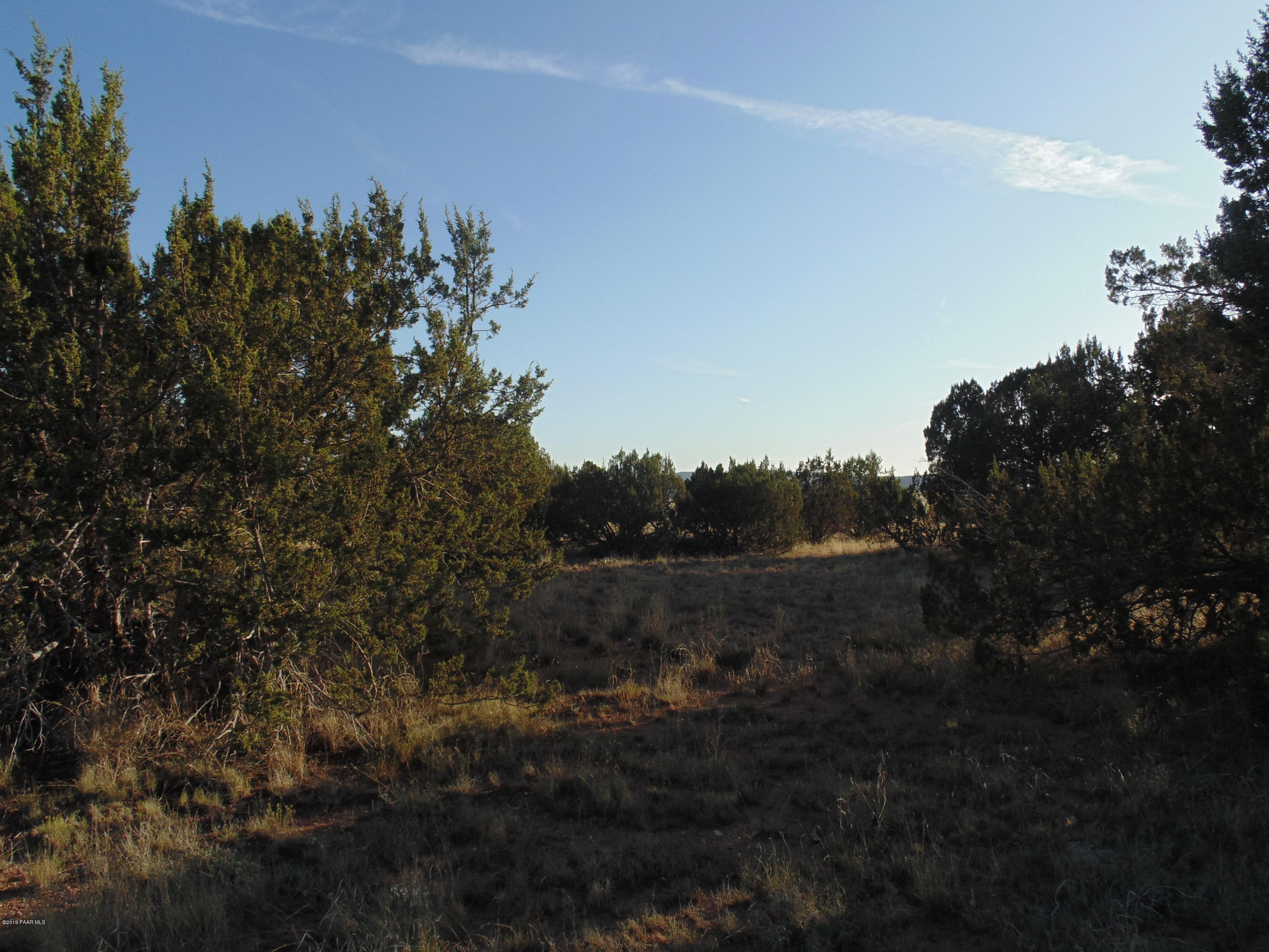 27525 Fort Rock Road Seligman, AZ 86337 - Photo 4 of 12 DSC04669