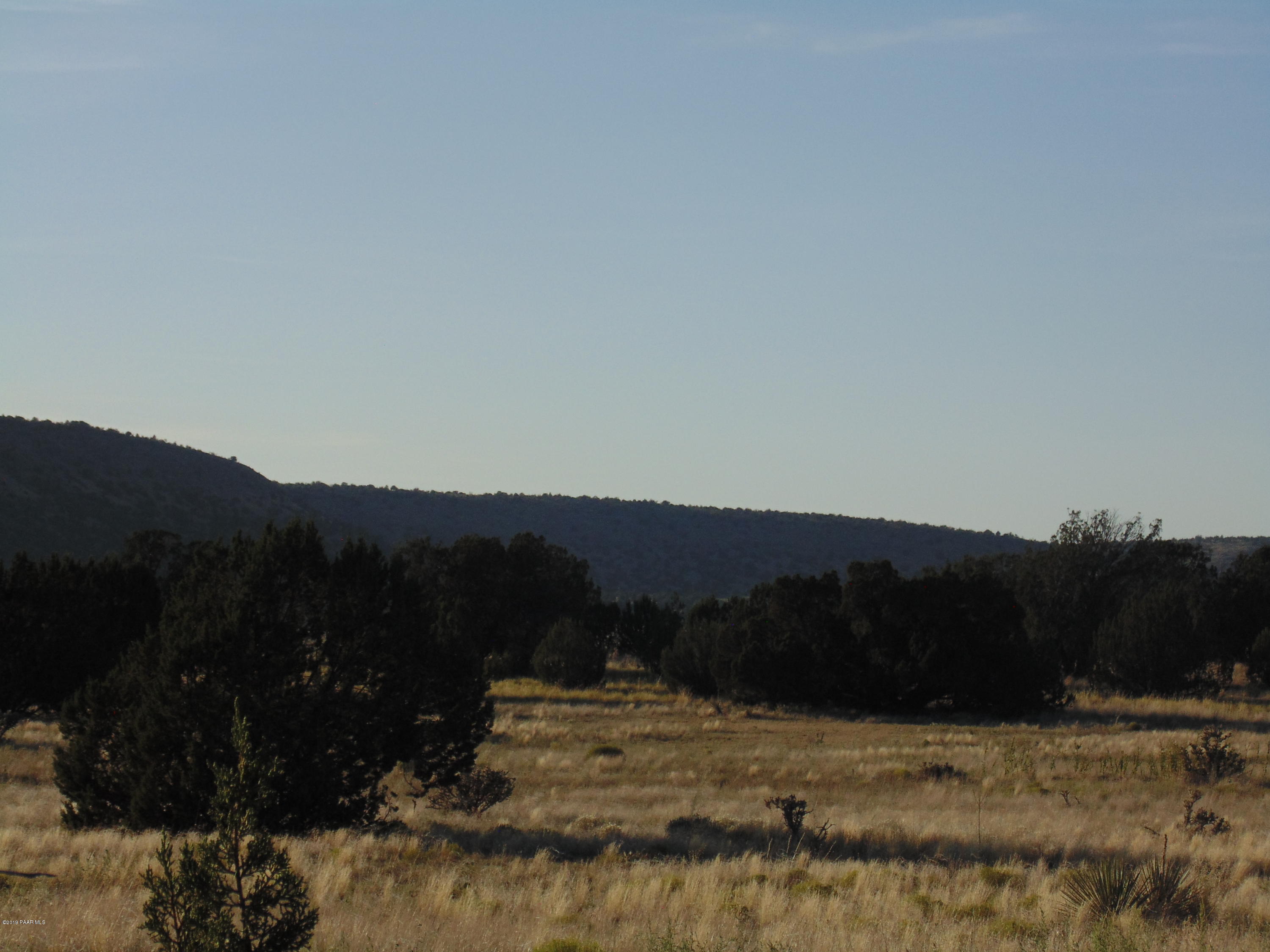 27525 Fort Rock Road Seligman, AZ 86337 - Photo 6 of 12 DSC04671