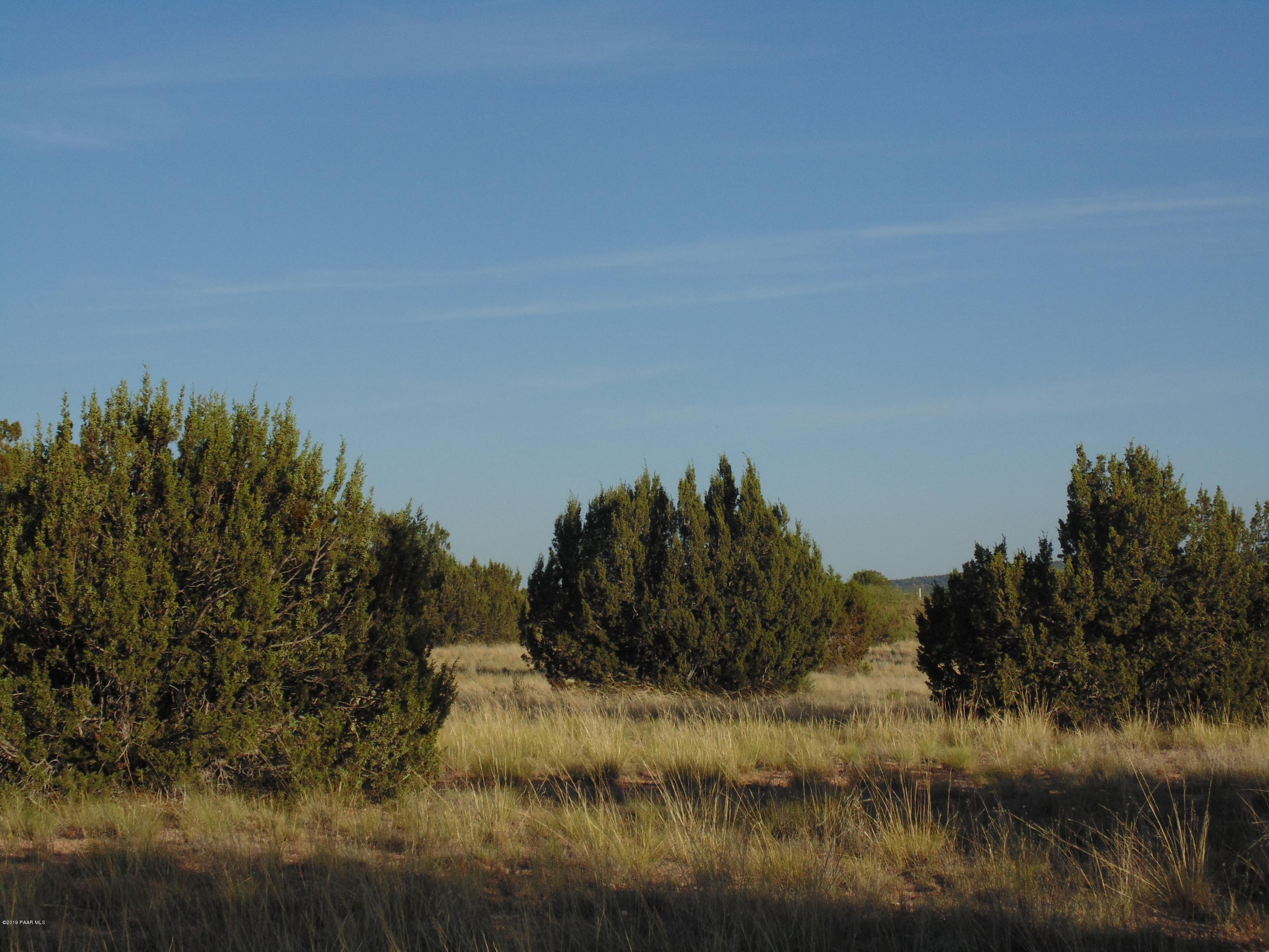 27525 Fort Rock Road Seligman, AZ 86337 - Photo 7 of 12 DSC04672