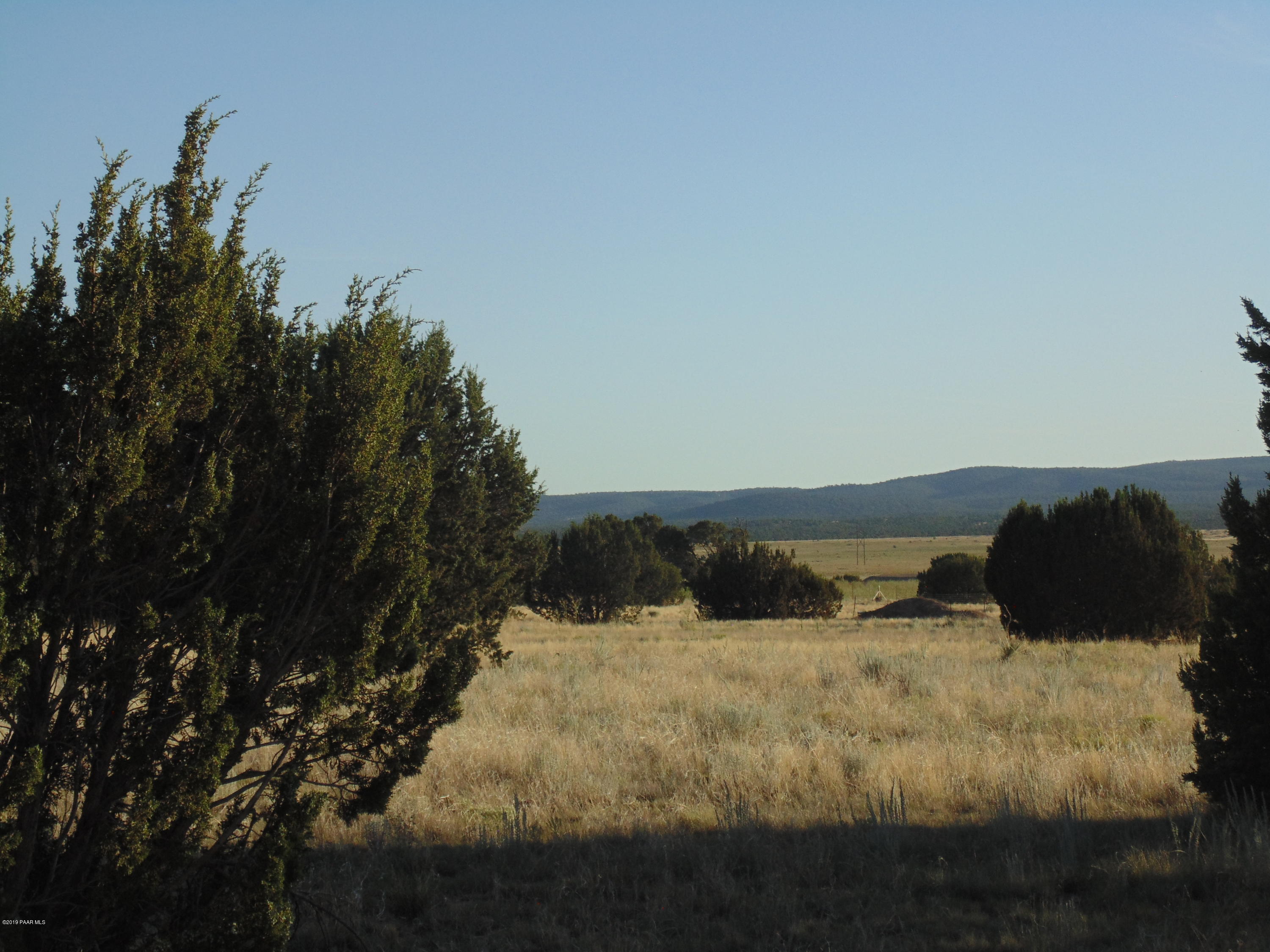 27525 Fort Rock Road Seligman, AZ 86337 - Photo 9 of 12 DSC04674