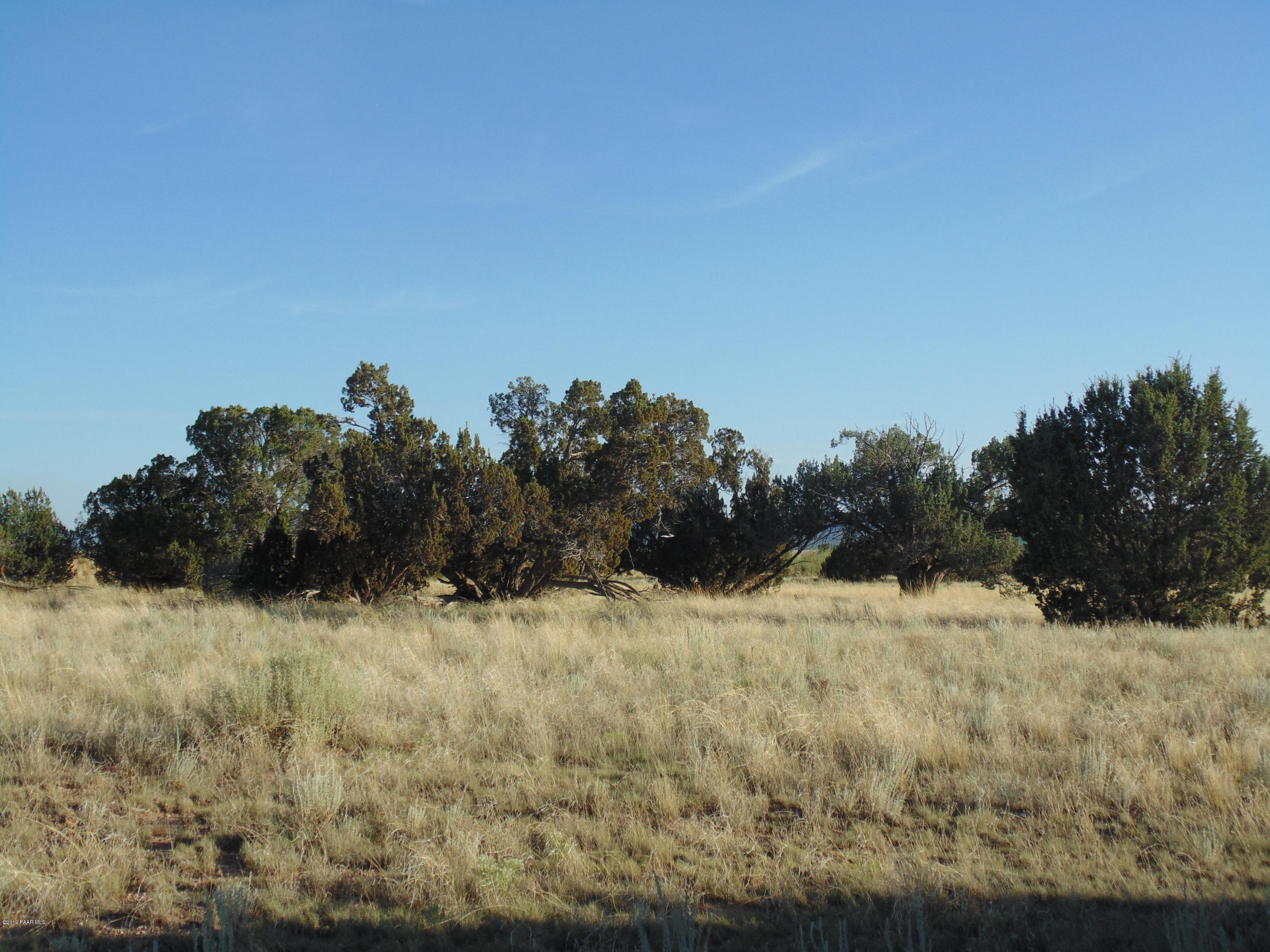 27525 Fort Rock Road Seligman, AZ 86337 - Photo 10 of 12 DSC04675