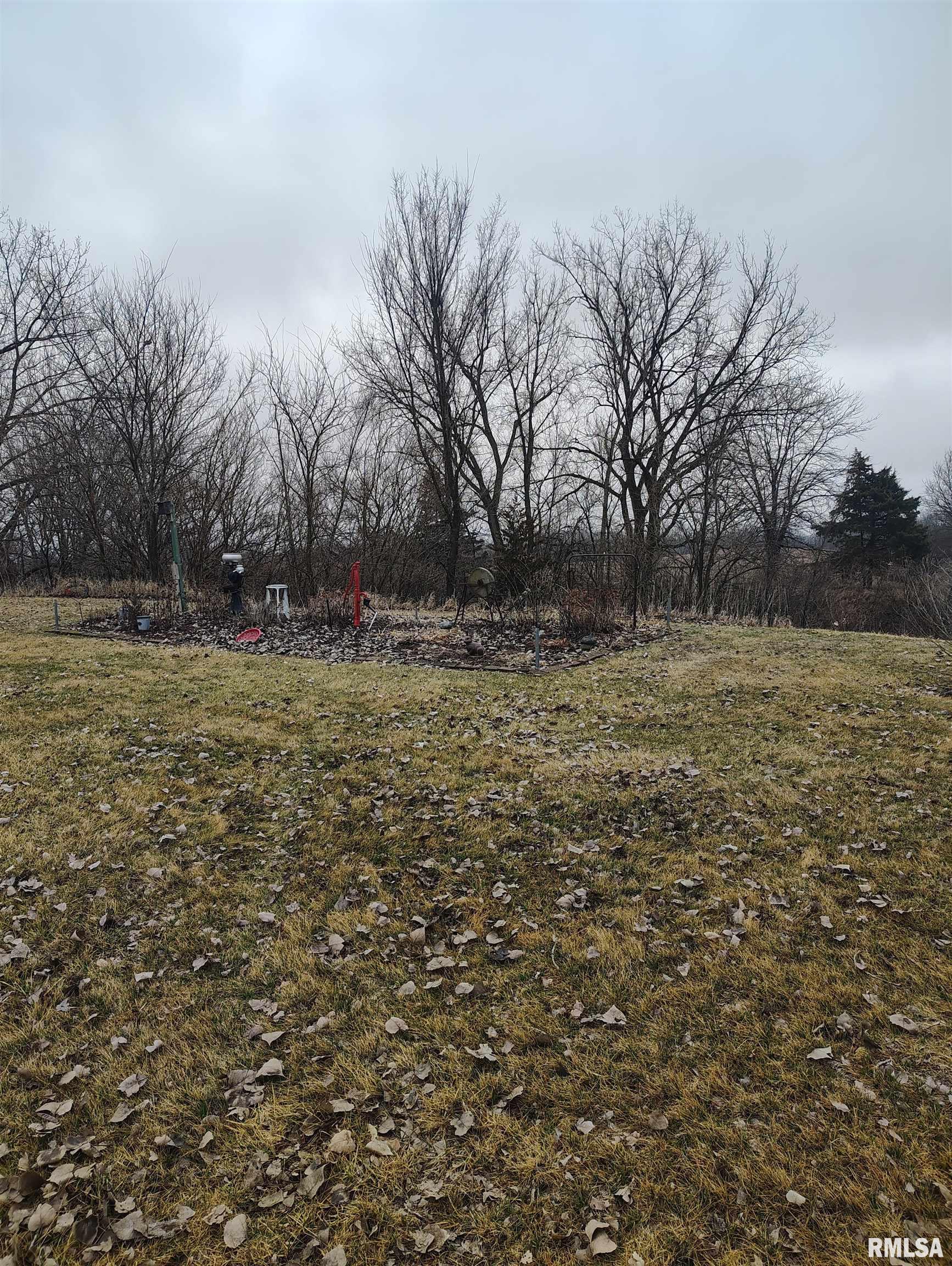 15701 E Highway Canton, IL 61520 - Photo 22 of 78