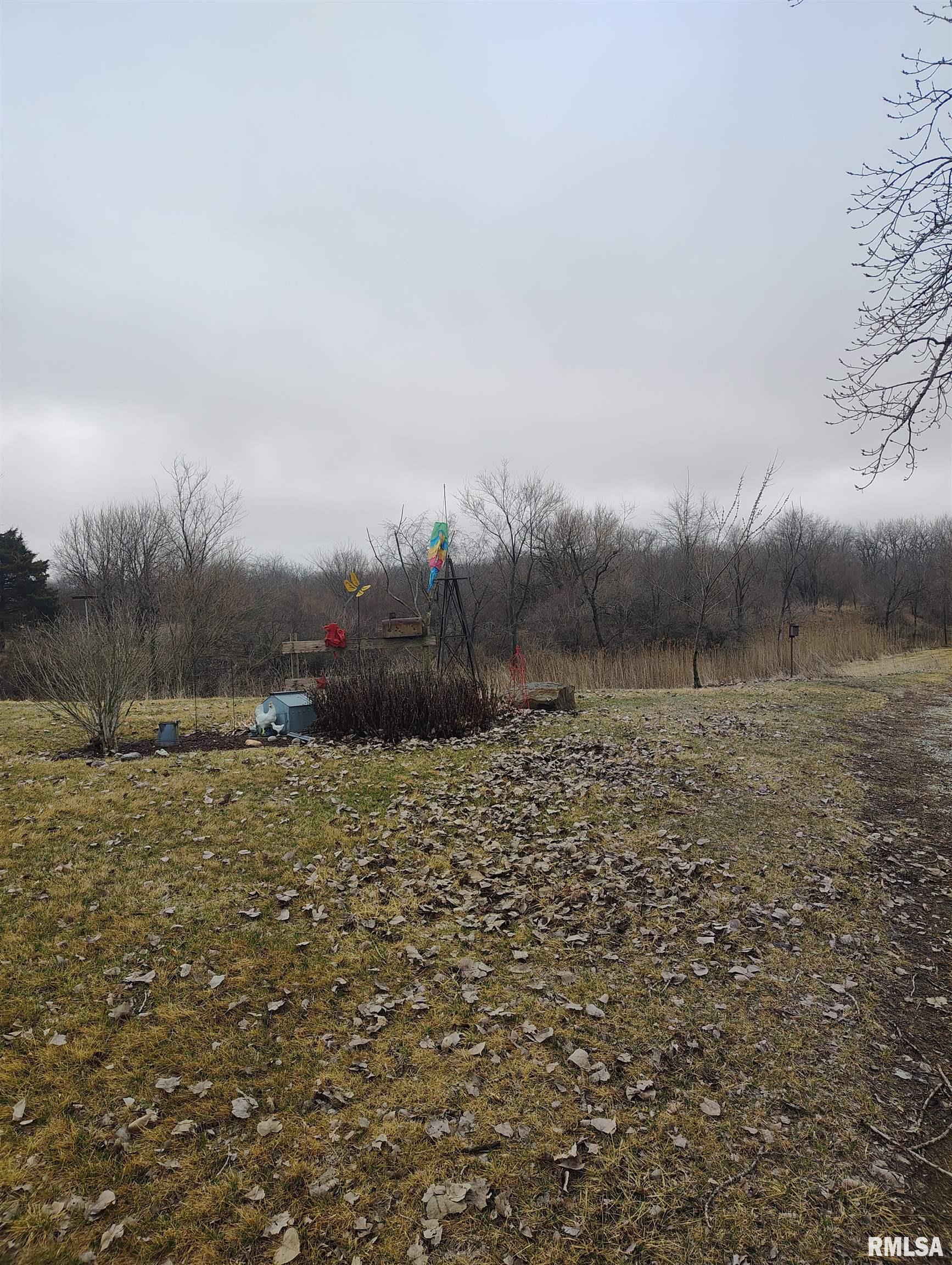 15701 E Highway Canton, IL 61520 - Photo 23 of 78
