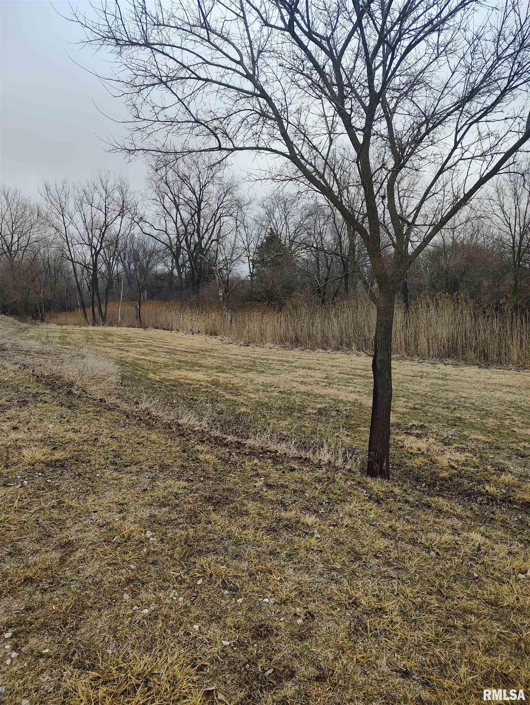 15701 E Highway Canton, IL 61520 - Photo 24 of 78