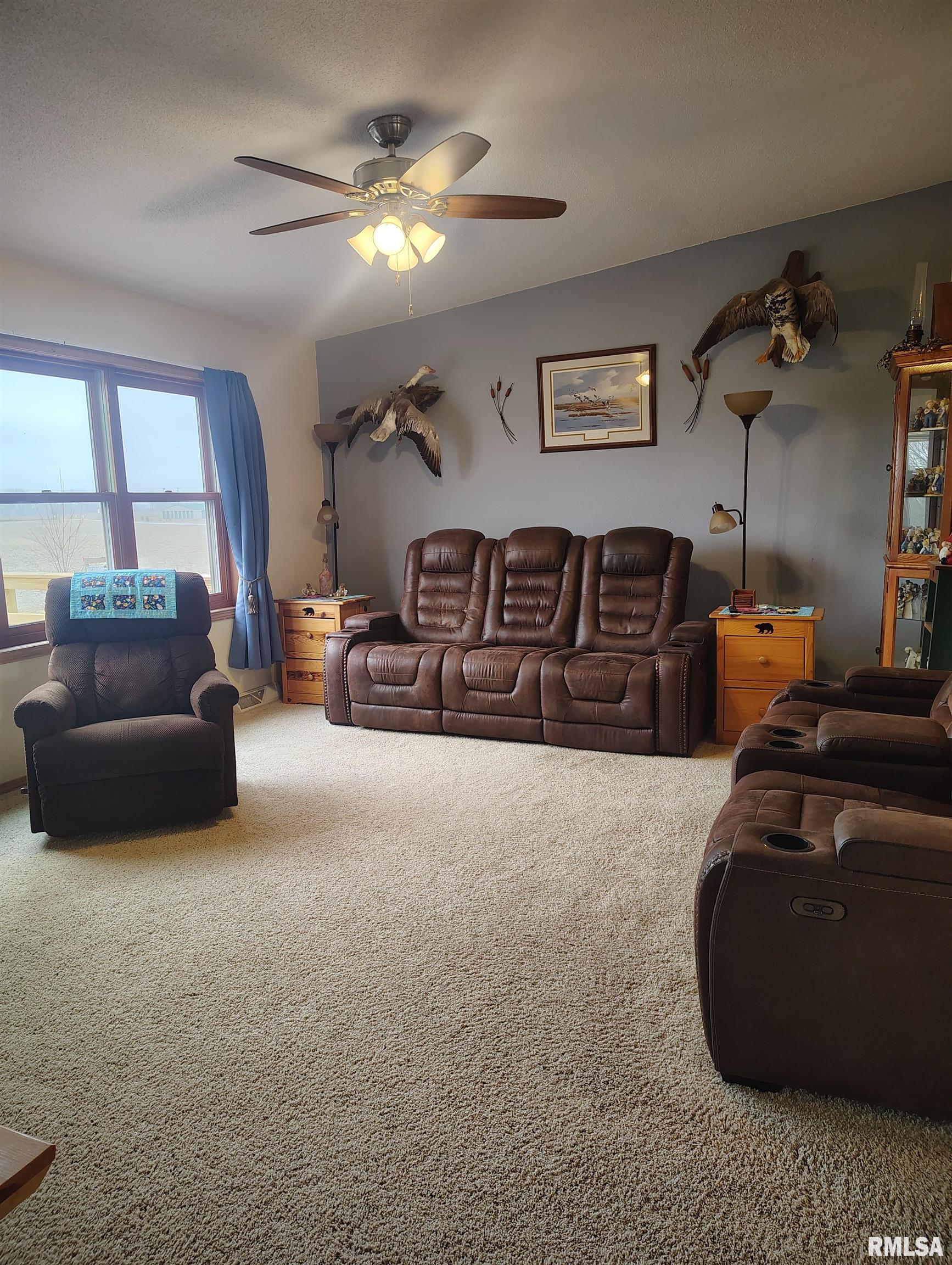 15701 E Highway Canton, IL 61520 - Photo 47 of 78